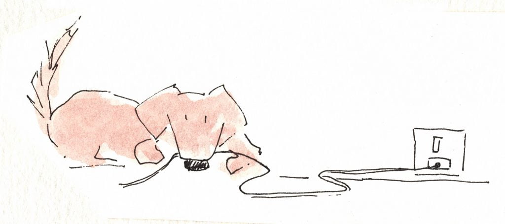 Illustration til brandsikringsfolder